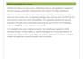 perform web application security testing
